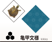 亀甲文様 kikko