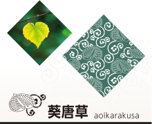 葵唐草 aoikarakusa